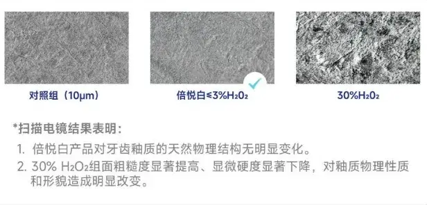 4.webp
