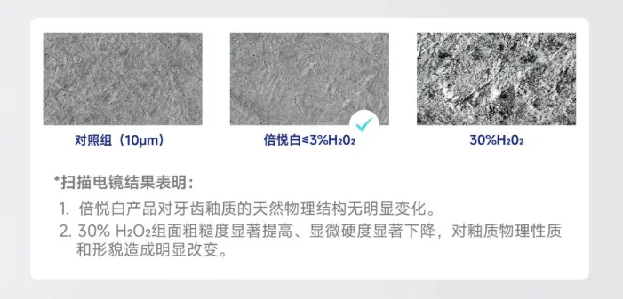 31353394.webp 4.webp